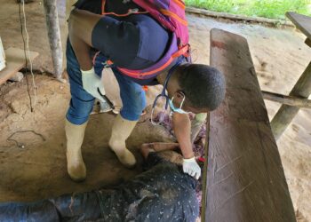 Miner stabbed drinking buddy to death.