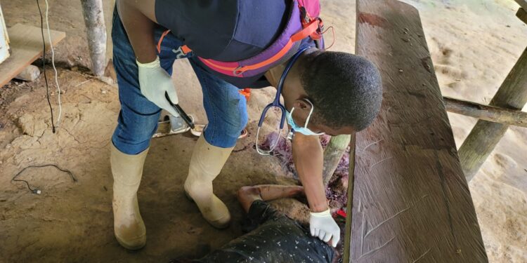 Miner stabbed drinking buddy to death.