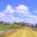Infrastructural works ongoing at Palmyra Housing Project.