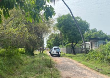 Mother and son found dead with suspected chop wounds.