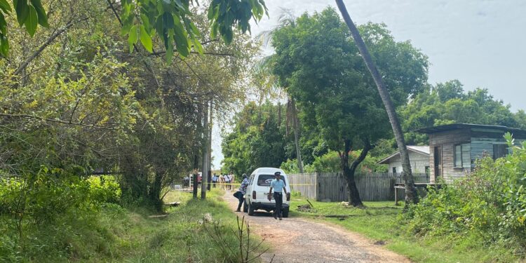 Mother and son found dead with suspected chop wounds.