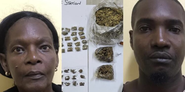 Vendors nabbed at Mahdia with 557 grams Marijuana