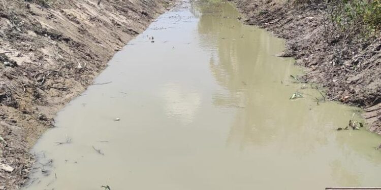 Massive Desilting and cleaning of canals ongoing in East Canje Berbice.