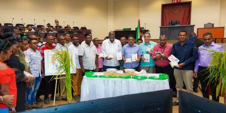 Rice industry is indomitable – says PM Mark Phillips as new GRDB IICA-17 bio-fortified variety launched