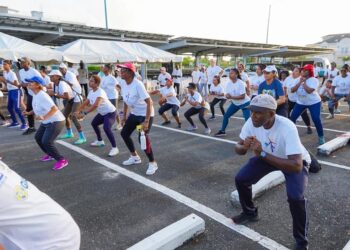 Guyana is committed to enhancing electrification through renewable energy – PM