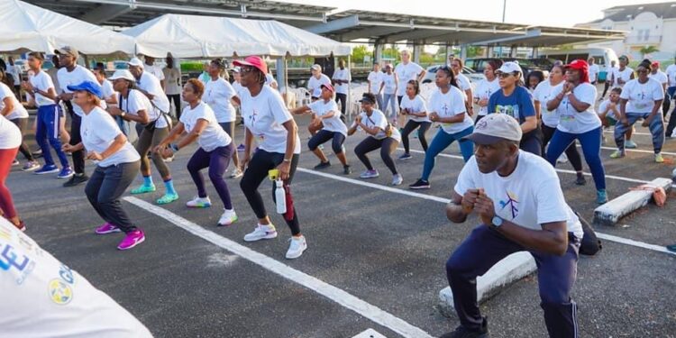 Guyana is committed to enhancing electrification through renewable energy – PM