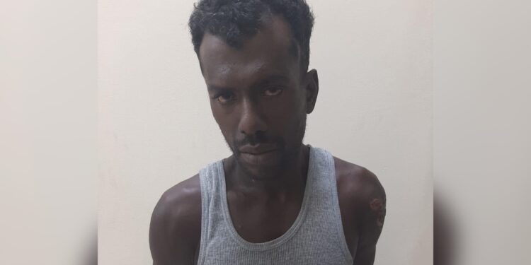 Notorious convicted criminal Rayan Sebastian granted $100,000 Bail on Burglary, Break-and-Enter-and-Larceny Charges