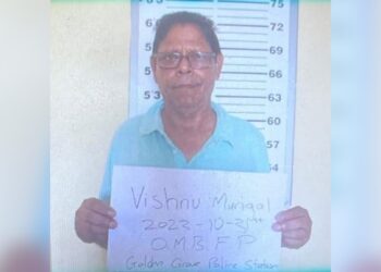 Pensioner placed on $100,000 bail after being charged with Fraud