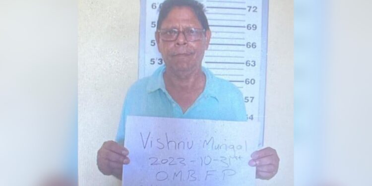 Pensioner placed on $100,000 bail after being charged with Fraud