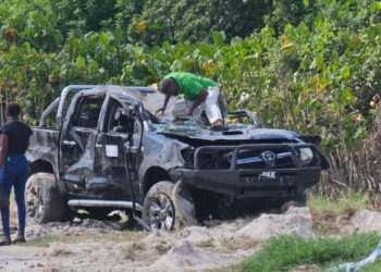 Businessman dies while test driving Pick-Up