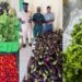 Mazaruni inmates reap close to 800 kg of produce