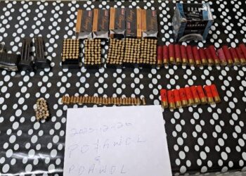 Essequibo businessman arrested for possession of unlicensed firearm, ammo