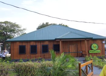Gov’t opens first Mangrove Centre in keeping with conservation efforts