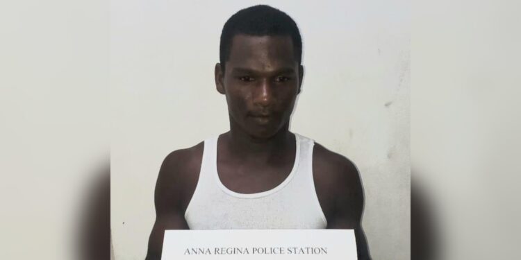 Labourer sentenced to 18 months in jail for stealing agricultural produce
