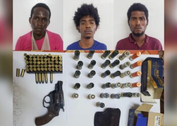 Break-and-Enter Suspects Apprehended in Yarrowkabra