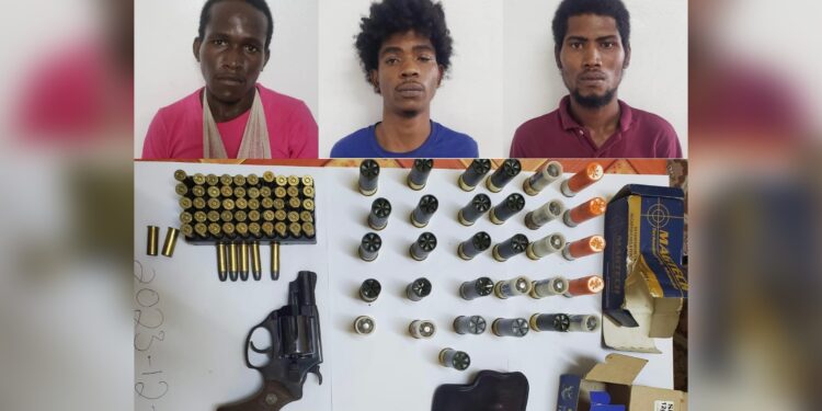 Break-and-Enter Suspects Apprehended in Yarrowkabra