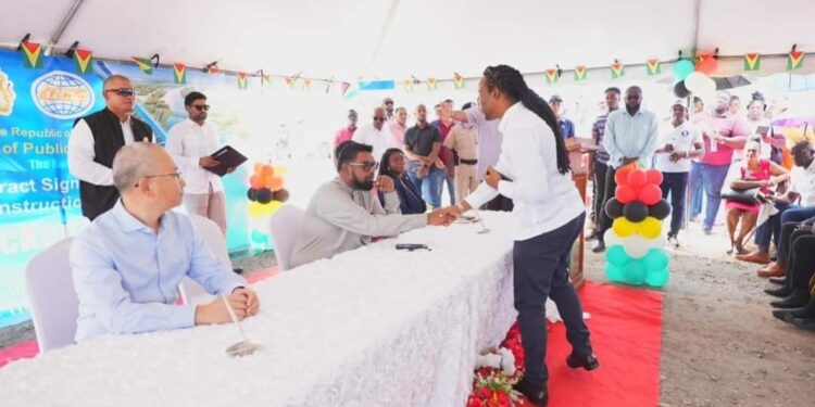 Norton removes Figueira from Shadow Cabinet amidst controversy over President’s handshake.