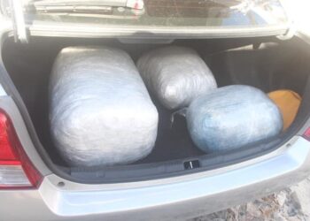 Driver fled scene leaving 22.235 KG of marijuana in car trunk