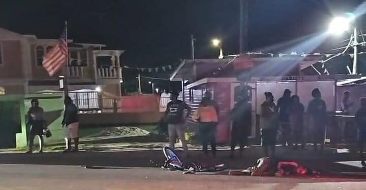 Pedal cyclist dies in Den Amstel accident