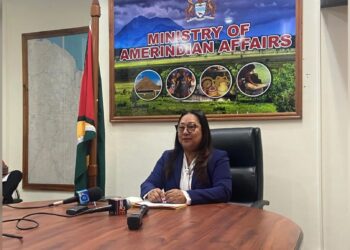 Ministry of Amerindian Affairs Aims to Distribute 25 Indigenous Land Titles in 2024