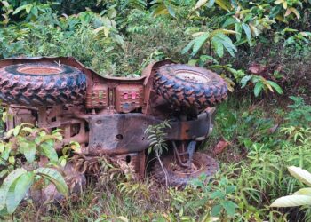 Region One man dies following ATV accident