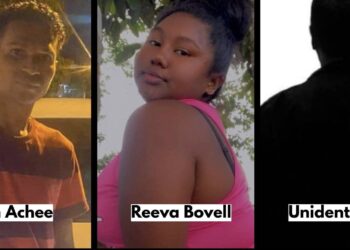 Three found dead in minibus.