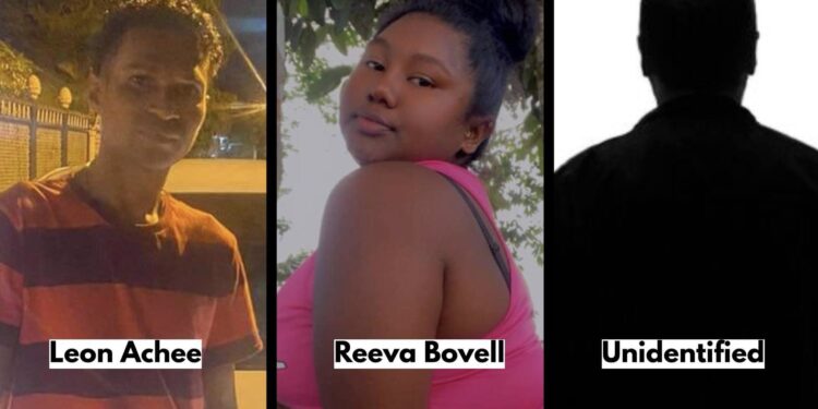 Three found dead in minibus.