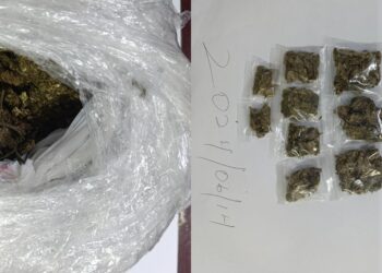 Construction worker arrested following the discovery of 895 grams of marijuana