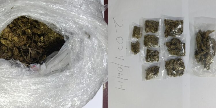 Construction worker arrested following the discovery of 895 grams of marijuana