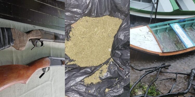 Firearms, marijuana found in abandoned house up the Berbice River.
