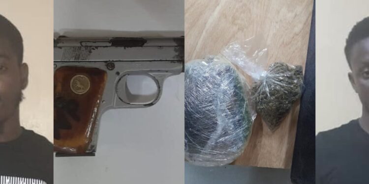 Gun and marijuan found during house raid in New Amsterdam.