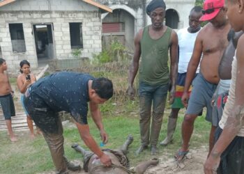 West Demerara woman stabbed multiple times by ex-husband who attempted suicide.