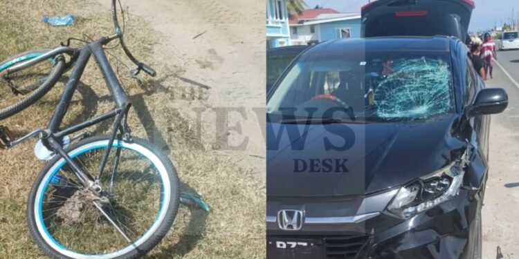 Pedal Cyclist Dies Following West Coast Berbice Accident.