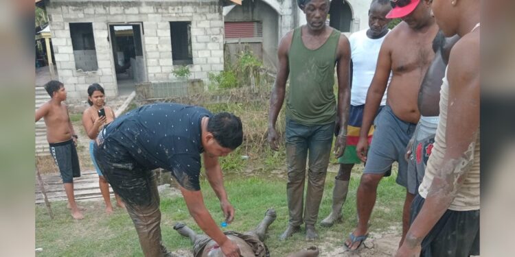 West Demerara woman stabbed multiple times by ex-husband who attempted suicide.