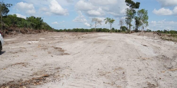 Land Clearing Commences for the Construction of 500 Houses to Empower Single Mothers