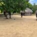Alleged Armed Robbery and Abduction in South Rupununi Still Under Investigation
