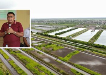 Region Six Shrimp Farmers Earn $1.8B with Gov’t Support