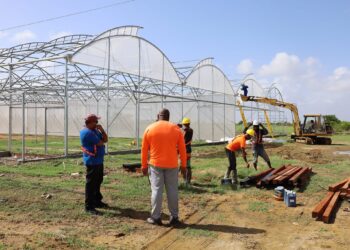 Region Five Hydroponic Farm to be Operational in Two Months.