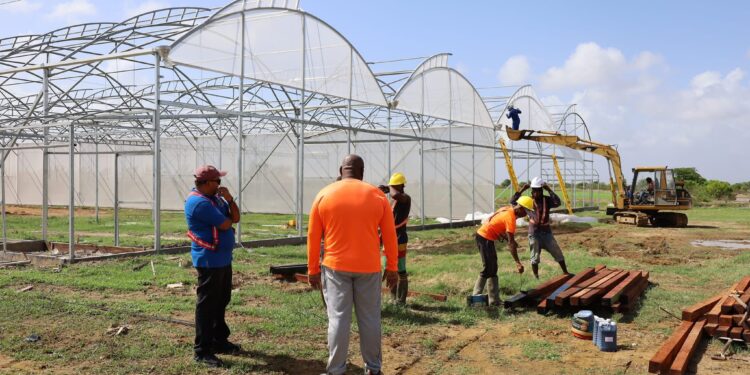 Region Five Hydroponic Farm to be Operational in Two Months.