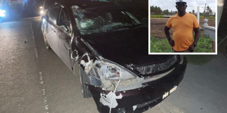 Pedestrian Killed by Drunk Driver on Christmas Eve