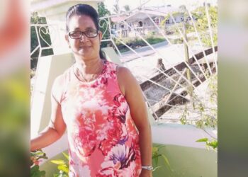 Elderly Woman Brutally Beaten to Death During Robbery