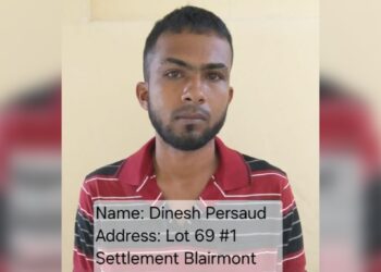 Blairmont Car Thief Remanded