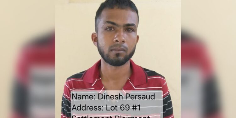 Blairmont Car Thief Remanded