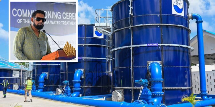 Almost entire population now has access to potable water—President Ali