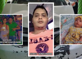 Two in Custody as Police Intensify Search for Hit-and-Run Suspect