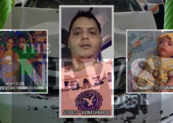 Two in Custody as Police Intensify Search for Hit-and-Run Suspect