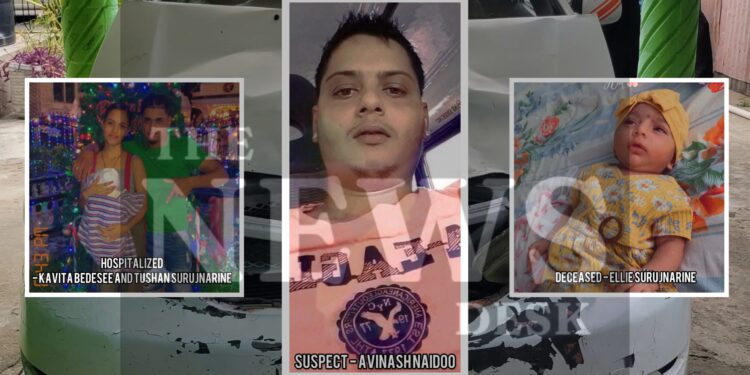 Two in Custody as Police Intensify Search for Hit-and-Run Suspect