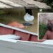 UPDATE || Homeless Man Found Dead in Crabwood Creek Canal