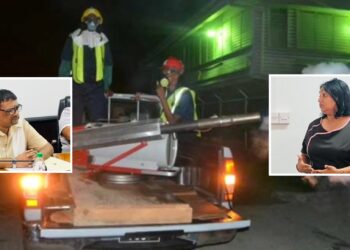 Dengue Surge in Region Six Claims Two Lives