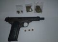 Couple Arrested After Police Found Gun & Marijuana at Corentyne Farm
